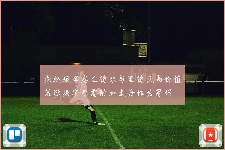 森林狼考虑兰德尔与里德交易价值若欲换字母需附加麦丹作为筹码
